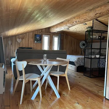 Pansiyon Sublime De Caractere ,50 M2 Climatise . *